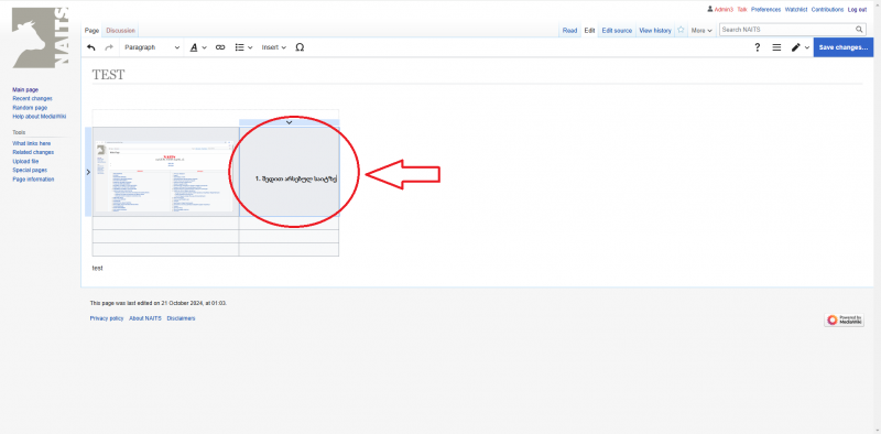 File:Naits Wiki ScreenShot 17.png