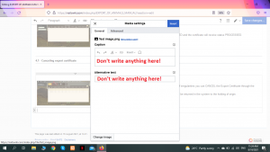 9 IG.png
