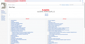 Naits Wiki ScreenShot 1 საბა.png