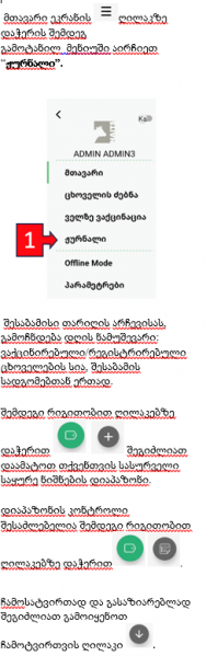 File:Ჟ4.png